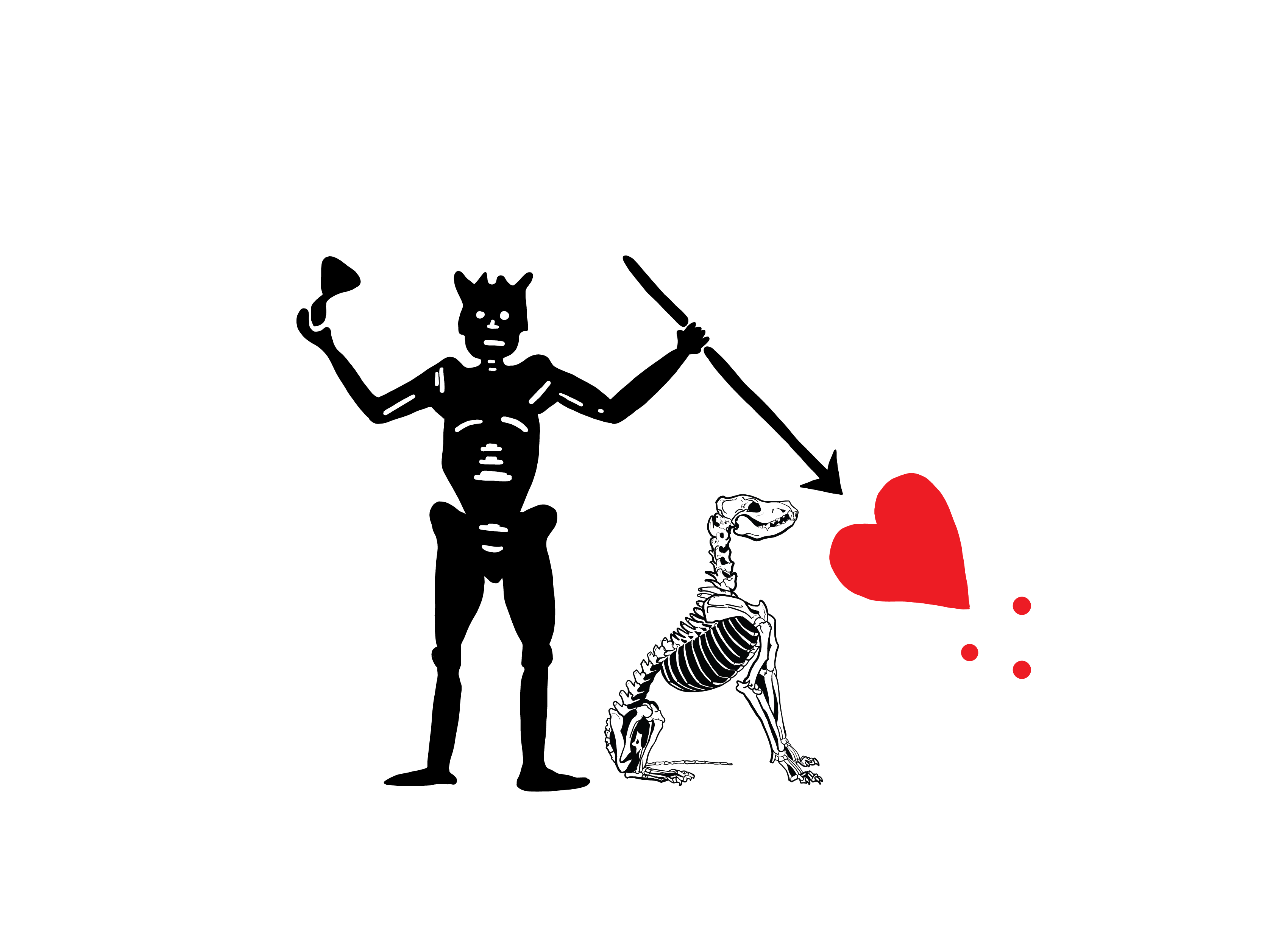 BlackBeard K-9 Patch